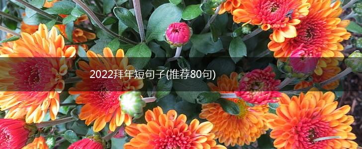 2022拜年短句子(推荐80句),第1张