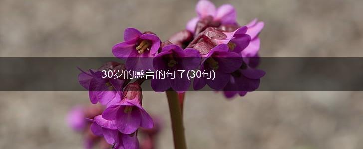 30岁的感言的句子(30句),第1张