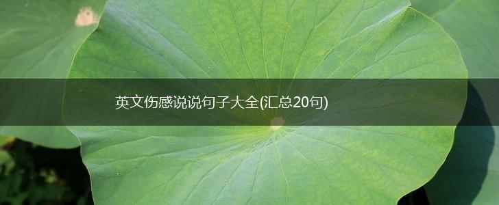 英文伤感说说句子大全(汇总20句),第1张