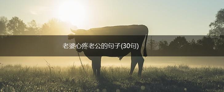 老婆心疼老公的句子(30句),第1张