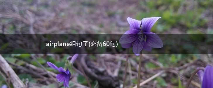 airplane组句子(必备60句),第1张
