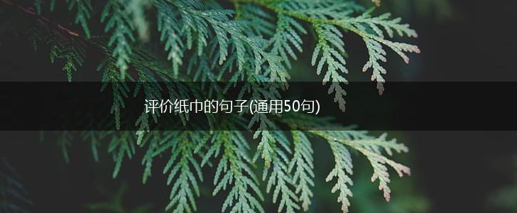 评价纸巾的句子(通用50句),第1张