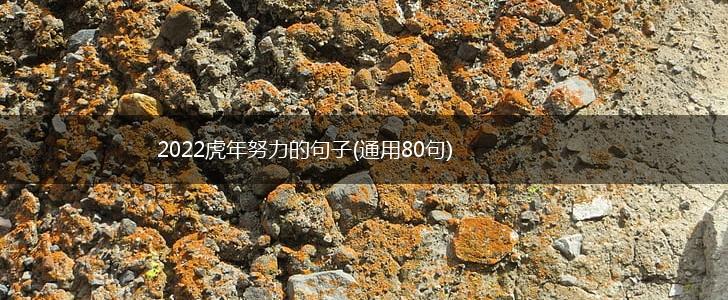 2022虎年努力的句子(通用80句),第1张