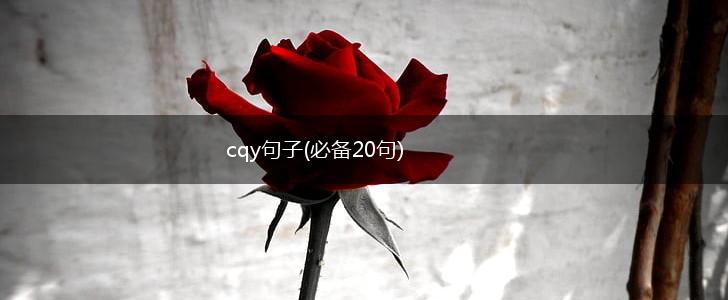 cqy句子(必备20句),第1张