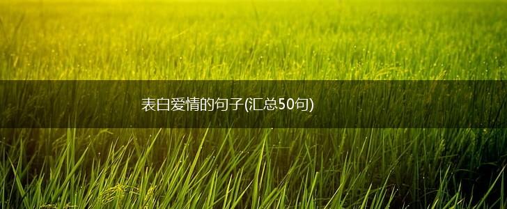 表白爱情的句子(汇总50句),第1张