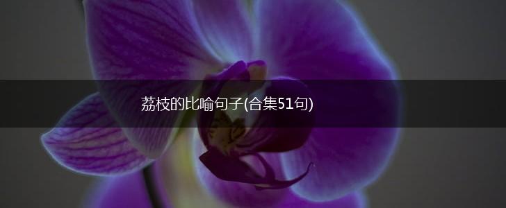 荔枝的比喻句子(合集51句),第1张