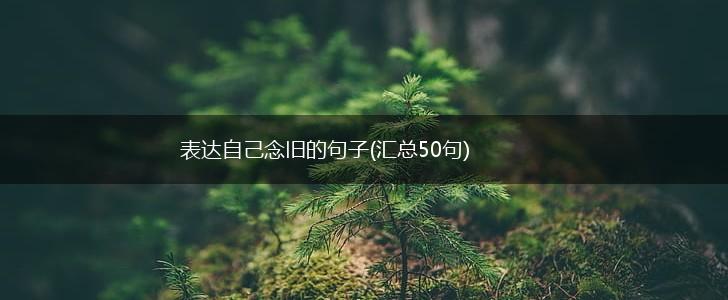 表达自己念旧的句子(汇总50句),第1张