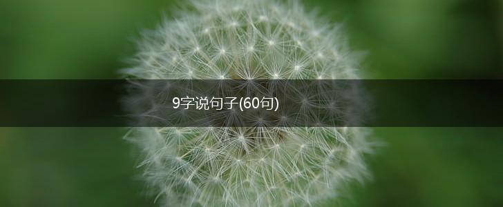 9字说句子(60句),第1张