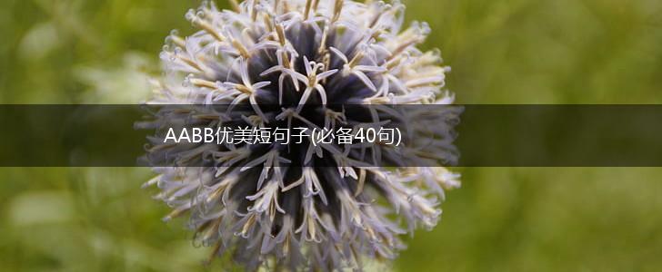 AABB优美短句子(必备40句),第1张