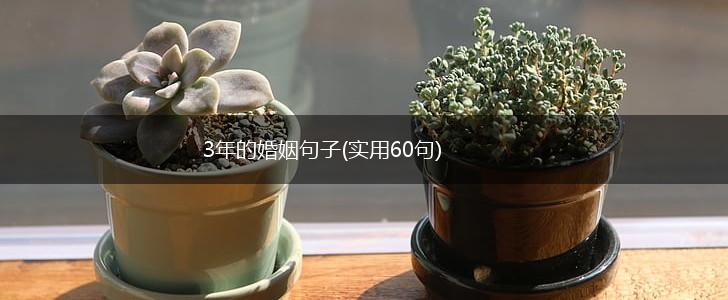 3年的婚姻句子(实用60句),第1张