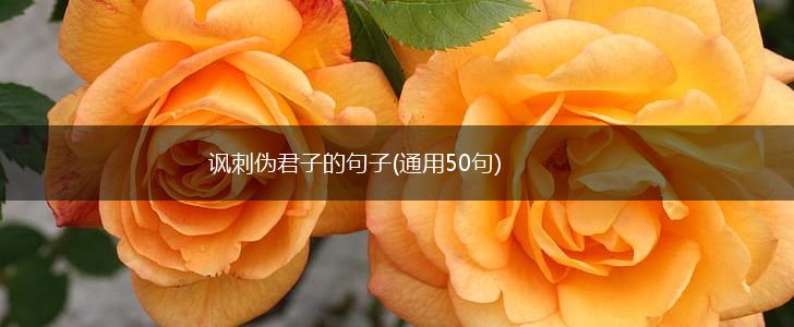 讽刺伪君子的句子(通用50句),第1张