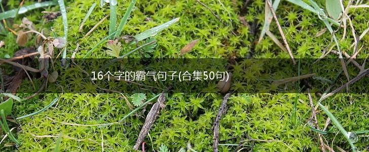 16个字的霸气句子(合集50句),第1张