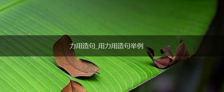力用造句_用力用造句举例,第1张