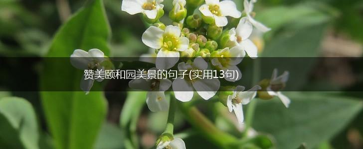 赞美颐和园美景的句子(实用13句),第1张