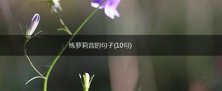 练萝莉音的句子(10句),第1张