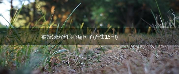 被婚姻伤害的心痛句子(合集15句),第1张