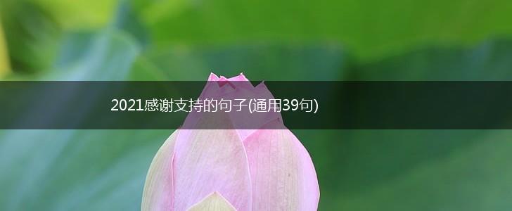 2021感谢支持的句子(通用39句),第1张