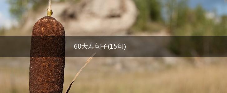 60大寿句子(15句),第1张