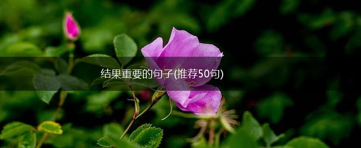 结果重要的句子(推荐50句),第1张