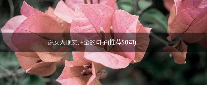 说女人现实拜金的句子(推荐50句),第1张