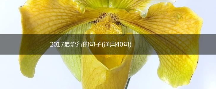 2017最流行的句子(通用40句),第1张