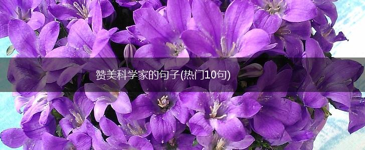 赞美科学家的句子(热门10句),第1张
