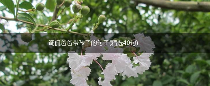 调侃爸爸带孩子的句子(精选40句),第1张