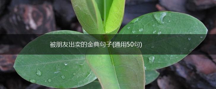 被朋友出卖的金典句子(通用50句),第1张