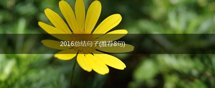 2016总结句子(推荐8句),第1张