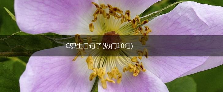 C罗生日句子(热门10句),第1张
