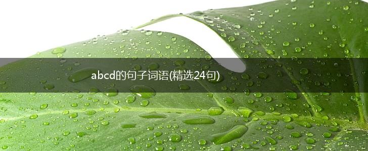 abcd的句子词语(精选24句),第1张