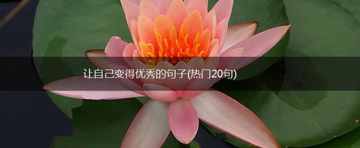让自己变得优秀的句子(热门20句),第1张