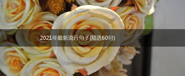 2021年最新流行句子(精选60句),第1张