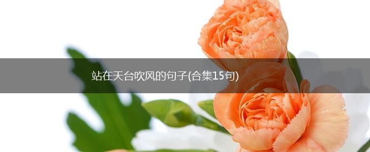 站在天台吹风的句子(合集15句),第1张