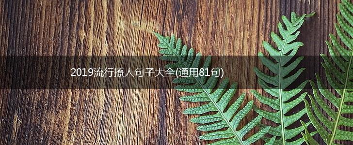 2019流行撩人句子大全(通用81句),第1张