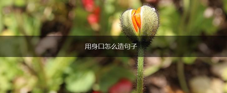 用身口怎么造句子,第1张