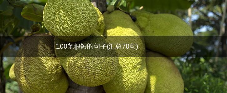 100条很短的句子(汇总70句),第1张