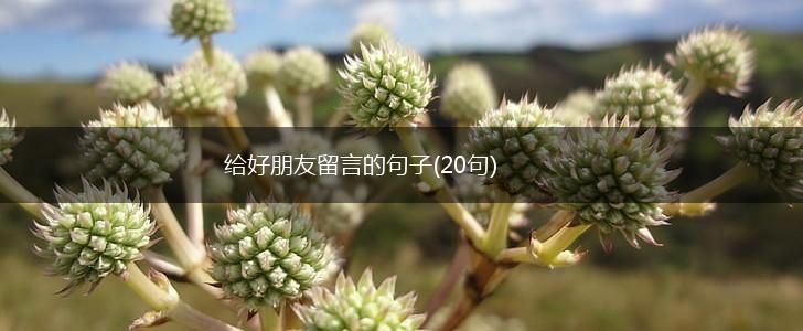给好朋友留言的句子(20句),第1张