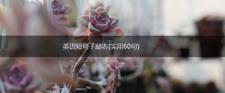 英语短句子励志(实用60句),第1张