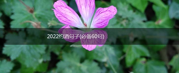 2022约酒句子(必备60句),第1张