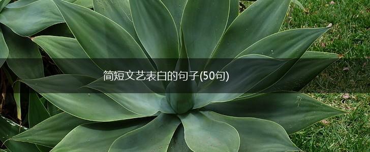 简短文艺表白的句子(50句),第1张