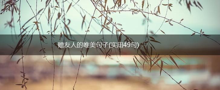 赠友人的唯美句子(实用49句),第1张