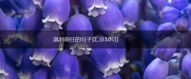 讽刺前任的句子(汇总50句),第1张