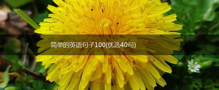 简单的英语句子100(优选40句),第1张