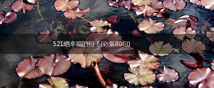 521晒幸福的句子(必备80句),第1张