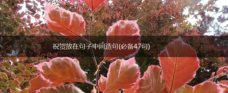 祝贺放在句子中间造句(必备47句),第1张