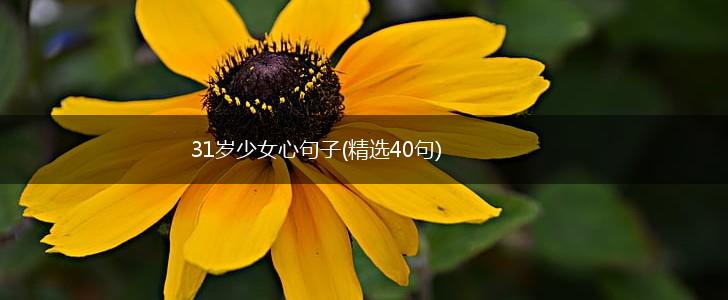 31岁少女心句子(精选40句),第1张