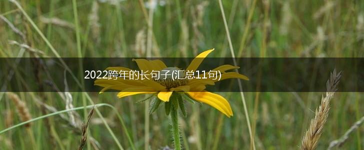 2022跨年的长句子(汇总11句),第1张