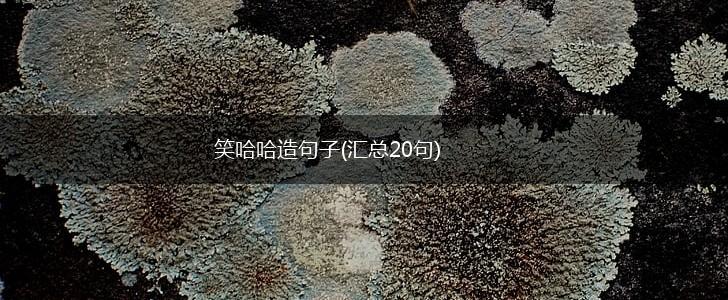 笑哈哈造句子(汇总20句),第1张