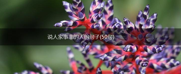 说人家事非的人的句子(50句),第1张